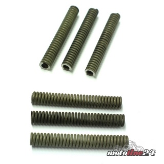 Bremsscheibe vorn Iso Feder Satz | alle Buell XB und 1125 Modelle | H0505.02A8 Spring, Iso Front Rotor | 6 Stk.